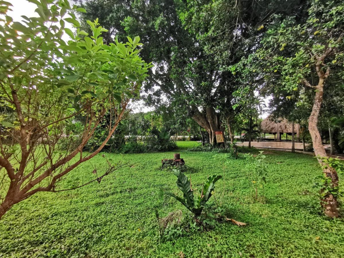 Hotel Doralba Inn Chichen Ngoại thất bức ảnh